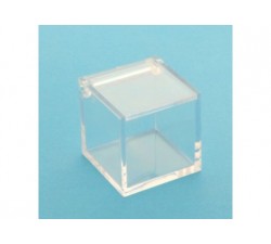 Cubo plexiglass trasparente cm 5X5X5