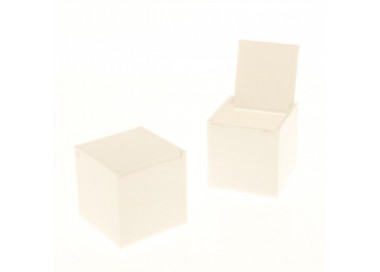 Cubo plexiglass bianco 5X5X5 SC404 Scatole Contenitori e Sacchettini 1,78 €