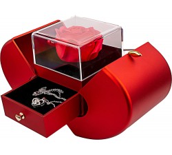 IRIVER BLANK Rosa rossa conservata con collana I Love You, regali di San Valentino per lei, regali per mamma moglie donna  ID...